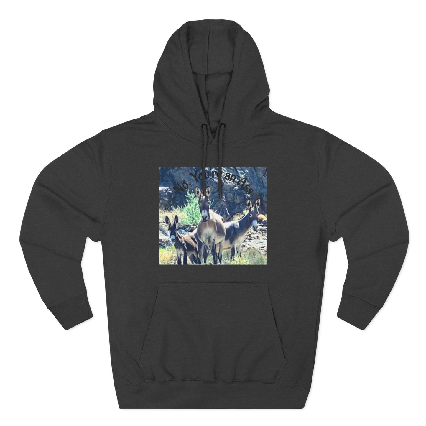 Custom, Travel Hoodie — Three Donkey's Saying No, You're the Ass Photo Pullover Hoodie
